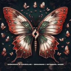Brahman / Internal Oasis