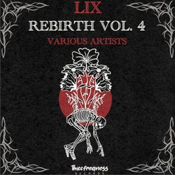 Rebirth Vol. 4