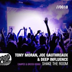 Shake the Room (Campos & Grossi Remix)