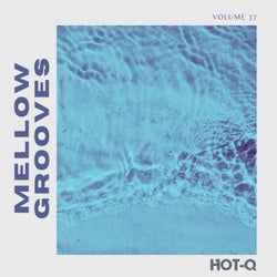 Mellow Grooves 037