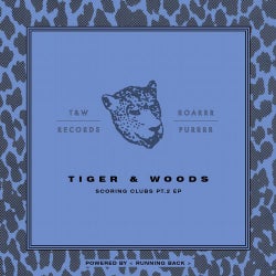 Tiger & Woods - Gin Nation (Original) | Beatport