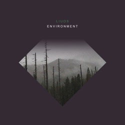 Environment