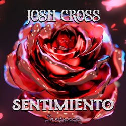 Sentimiento