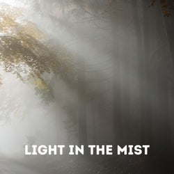Light in the Mist