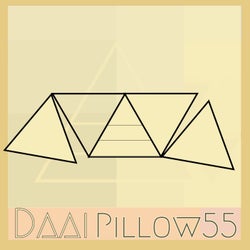 Pillow55