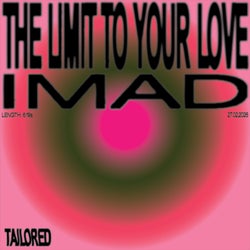 The Limit To Your Love (Extended Mix)