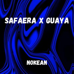 SAFAERA X GUAYA (Dj QueNam Remix Radio Edit)