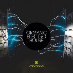 Organic Electro House