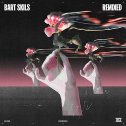 Bart Skils Remixed