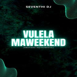 Vulela Maweekend (Amapiano Instrumental)