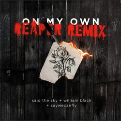 On My Own - REAPER Remix (feat. SayWeCanFly)