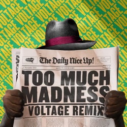 Too Much Madness (Voltage Remix)