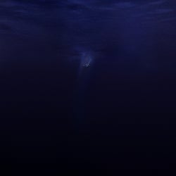 Salt & Silence