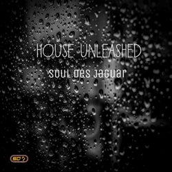 House Unleashed