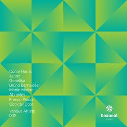 Flexbeat Records - Various Artists Vol. 2