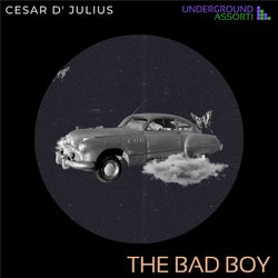 The Bad Boy