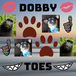 Dobby - Toes