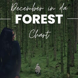 December in da Forest