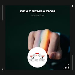 Beat Sensation