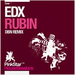 Rubin (DBN Remix)