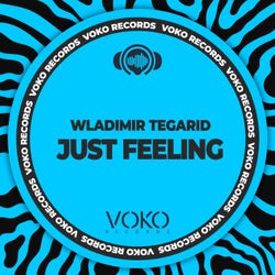 Just Feel Voko Records