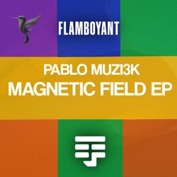 Magnetic Field EP