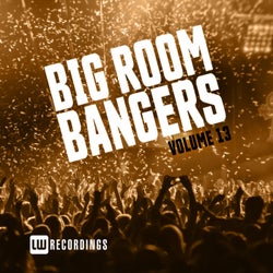 Big Room Bangers, Vol. 13