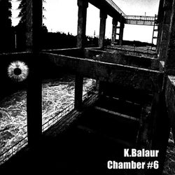 Chamber #6