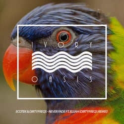 Never Fade - Dirtyfreqs Remix