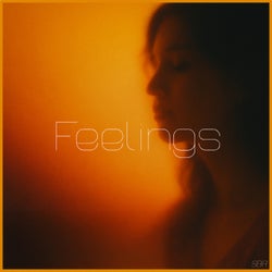 Feelings