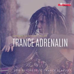 Trance Adrenalin - Ultimate Rave Party Tracks (2019 Psychedelic Trance Playlist)