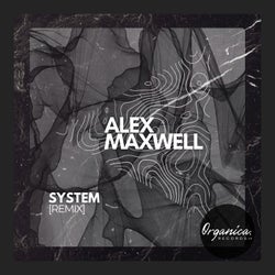 SYSTEM (Remix)