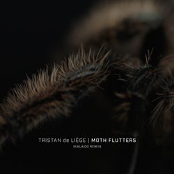 Moth Flutters - Kalaido Remix