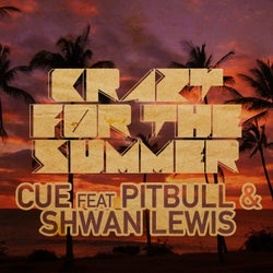 Crazy For The Summer (feat. Pitbull & Shawn Lewis)