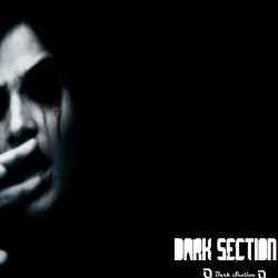 Dark Section V.A. Album 02