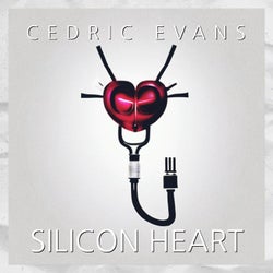 Silicon heart