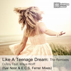 Like a Teenage Dream: The Remixes