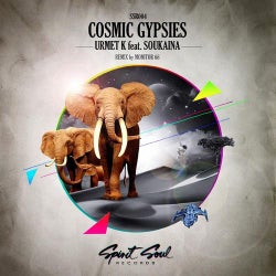Cosmic Gypsies