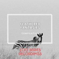 Feathered Fantasies