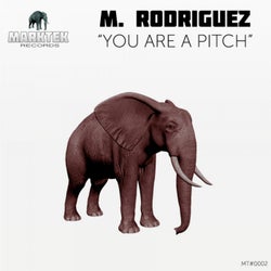 You Are A Pitch