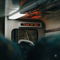 Trace of You