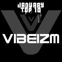 Vibeizm's Top 10 January 2012