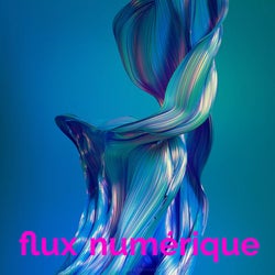 flux numérique