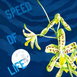 Speed of Life