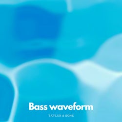 Bass Waveform