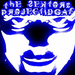Project I.D.G.A.F.