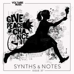 Synths And Notes 37
