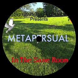 In The Sane Room