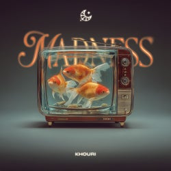 Madness (Extended Mix)