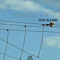 Stuck in a Wire